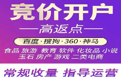 从小白到高手：百度竞价赚钱全记录